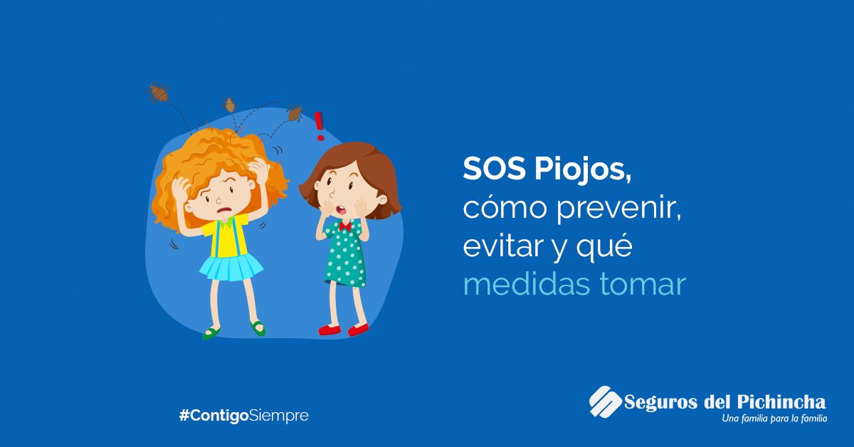 Qué Medidas Tomar Para Prevenir Y Evitar Los Piojos