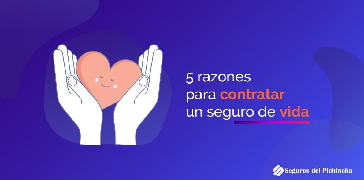 Razones Para Contratar Un Seguro De Vida