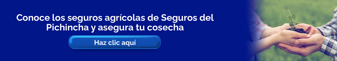 Banner de Seguros del Pichincha que invita a conocer seguros agrícolas y asegurar tu cosecha, con manos sosteniendo una planta joven
