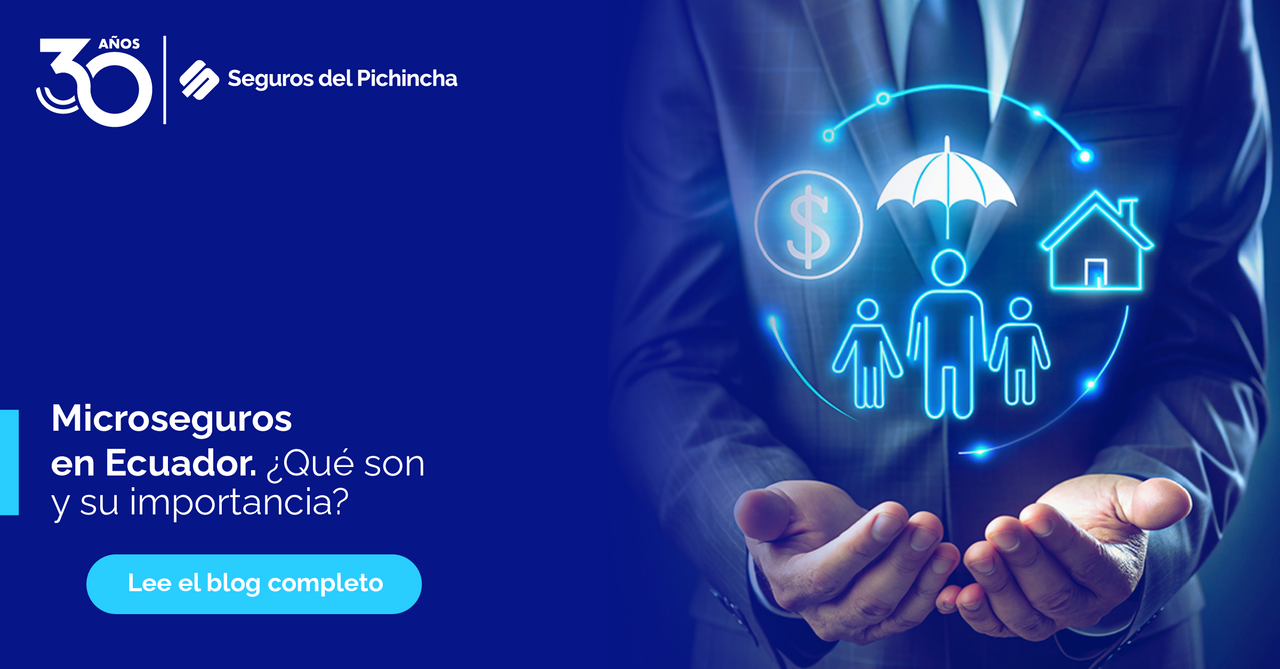 que son los microseguros