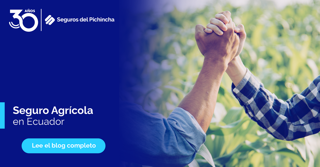 seguro agricola banner 