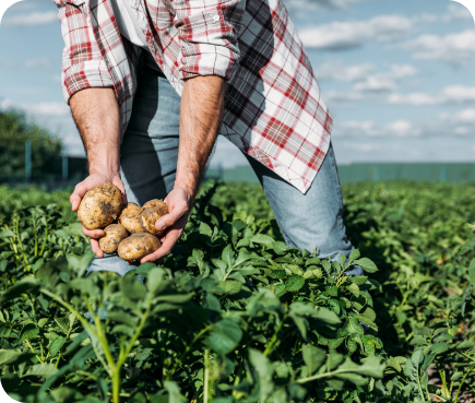 Cubre los cultivos de tus clientes, en caso de ser afectados por catástrofes